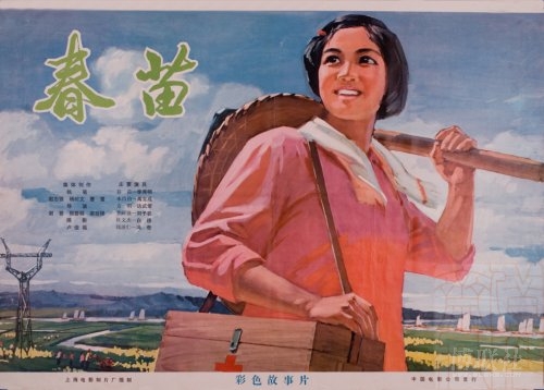 摄影家协会会员证