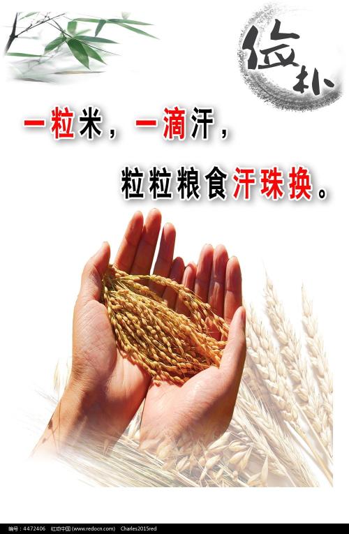 肖尼州立大学文凭毕业证样本照片